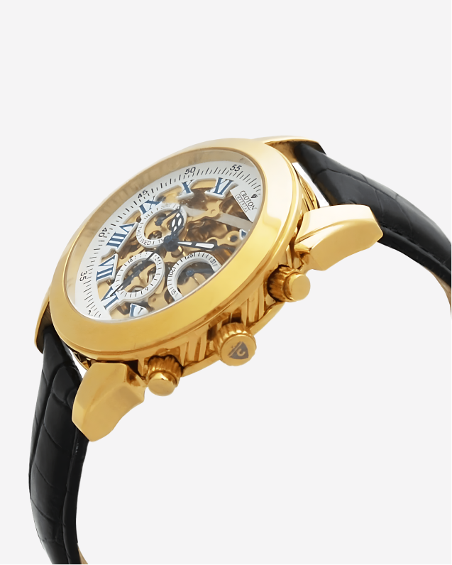 CORRAGIO Men's Multi-Function Automatic Skeleton Watch