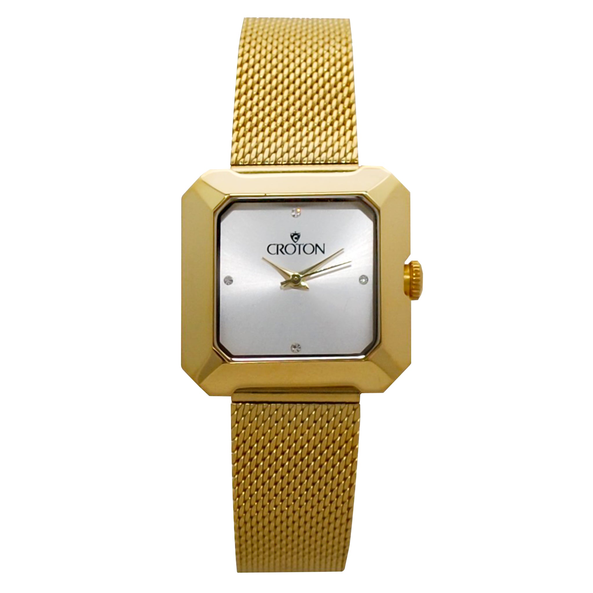 Ladies All Stainless Steel Goldtone Mesh Bracelet Watch with Silver Dial