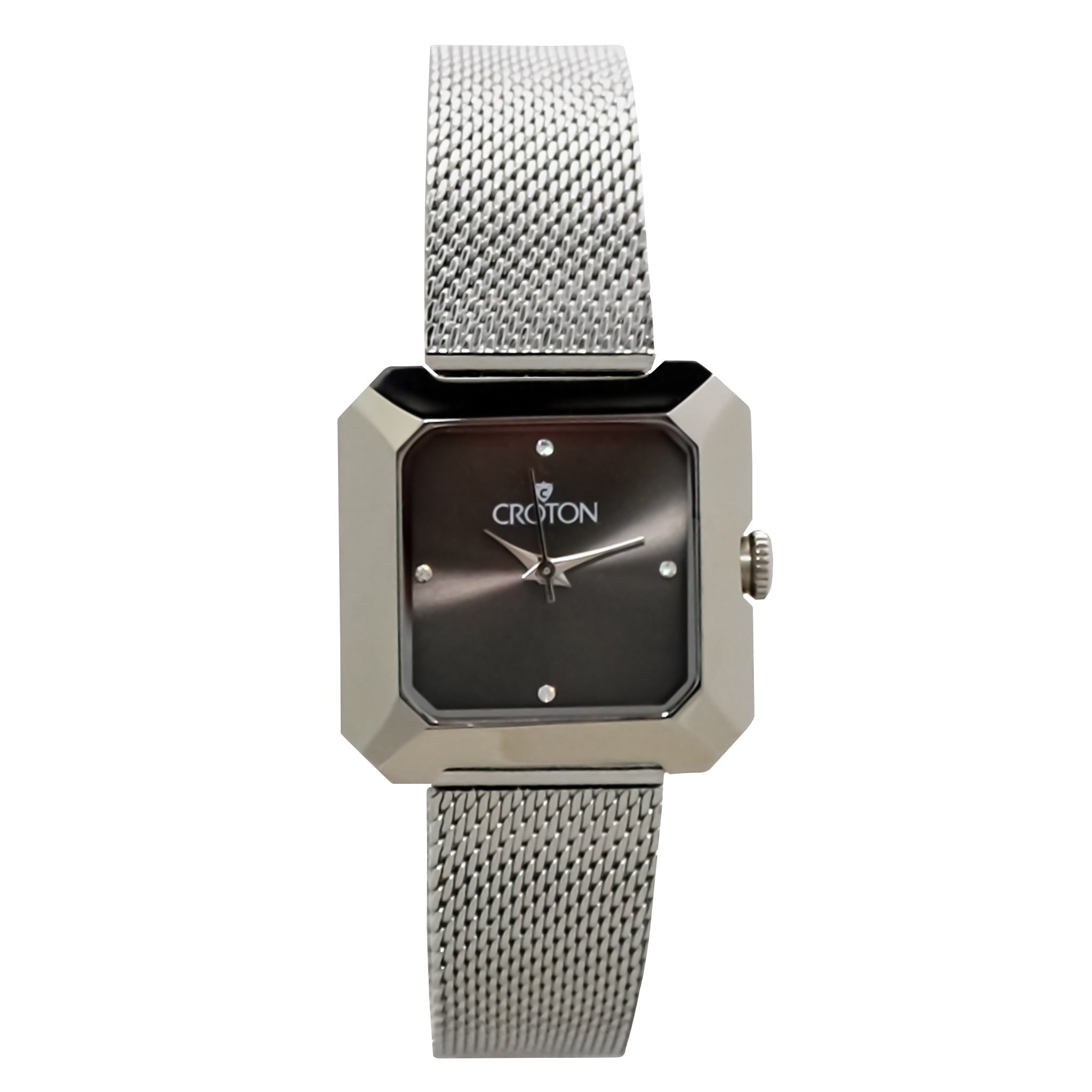 Ladies All Stainless Steel Silvertone Mesh Bracelet Watch with Gray Dial