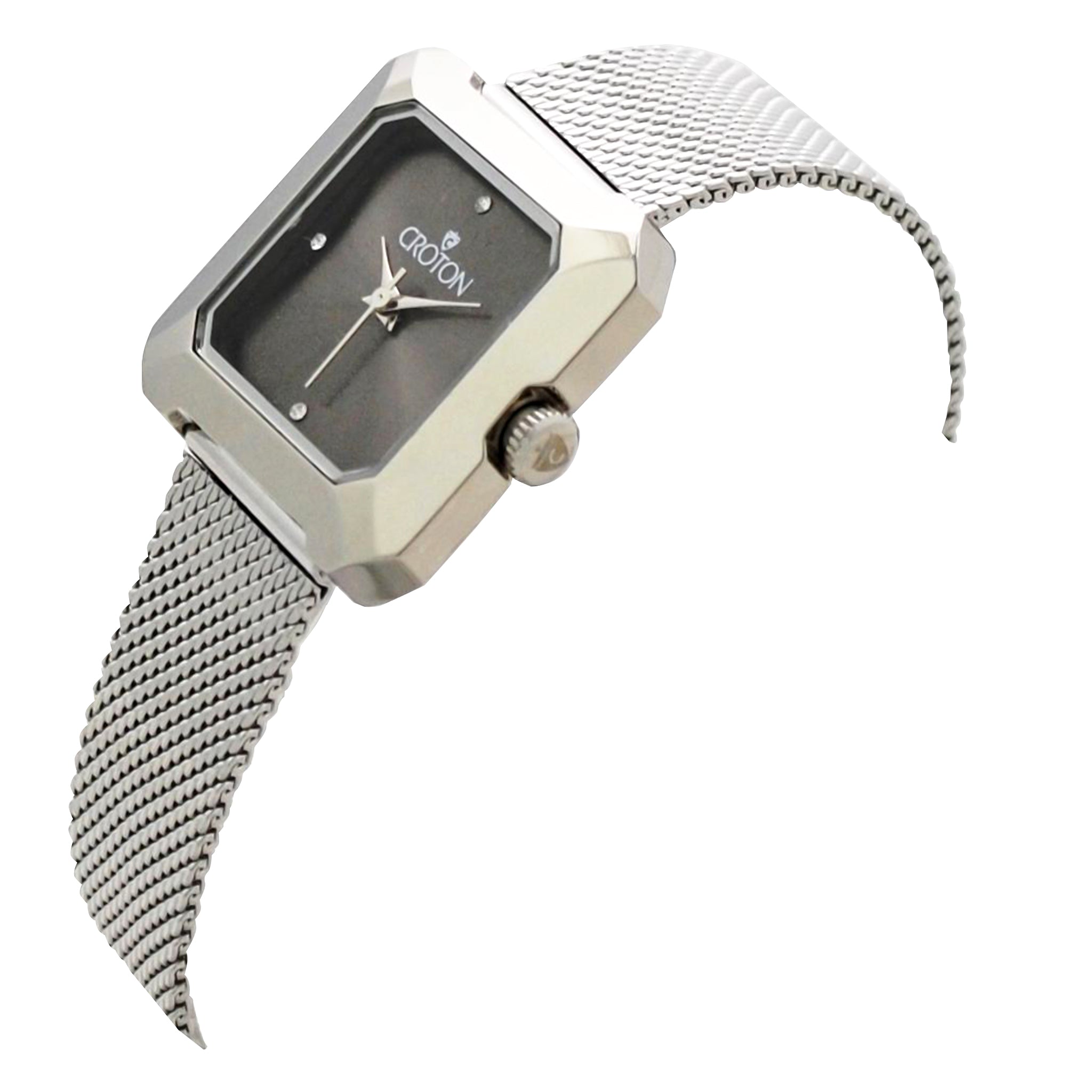 Ladies All Stainless Steel Silvertone Mesh Bracelet Watch with Gray Dial